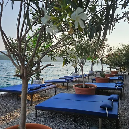 Dom * Neum